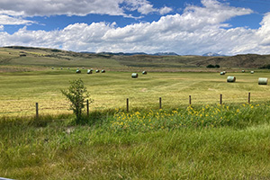 Randolph, UT Randolph, UT