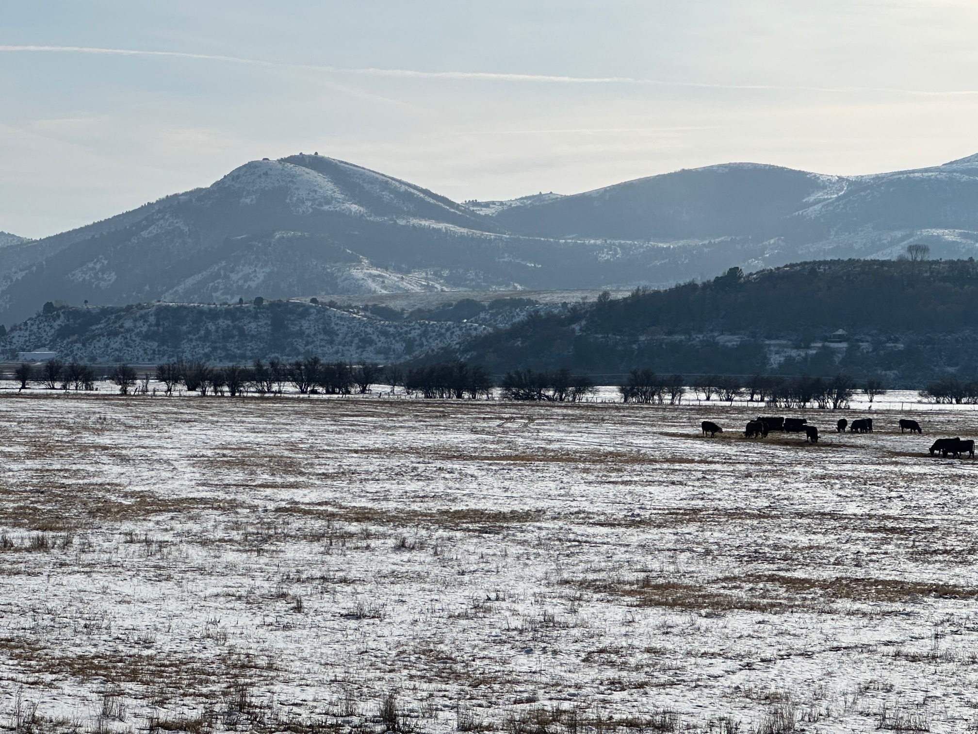 Cleveland, ID Cleveland, ID