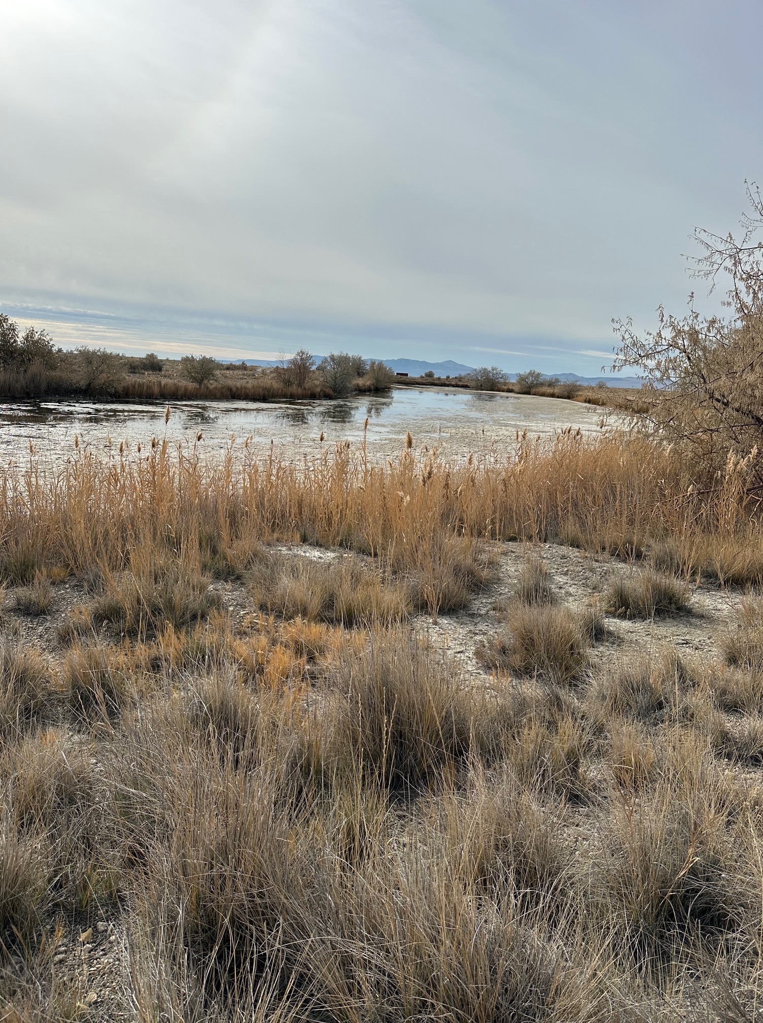 Locomotive Springs, UT