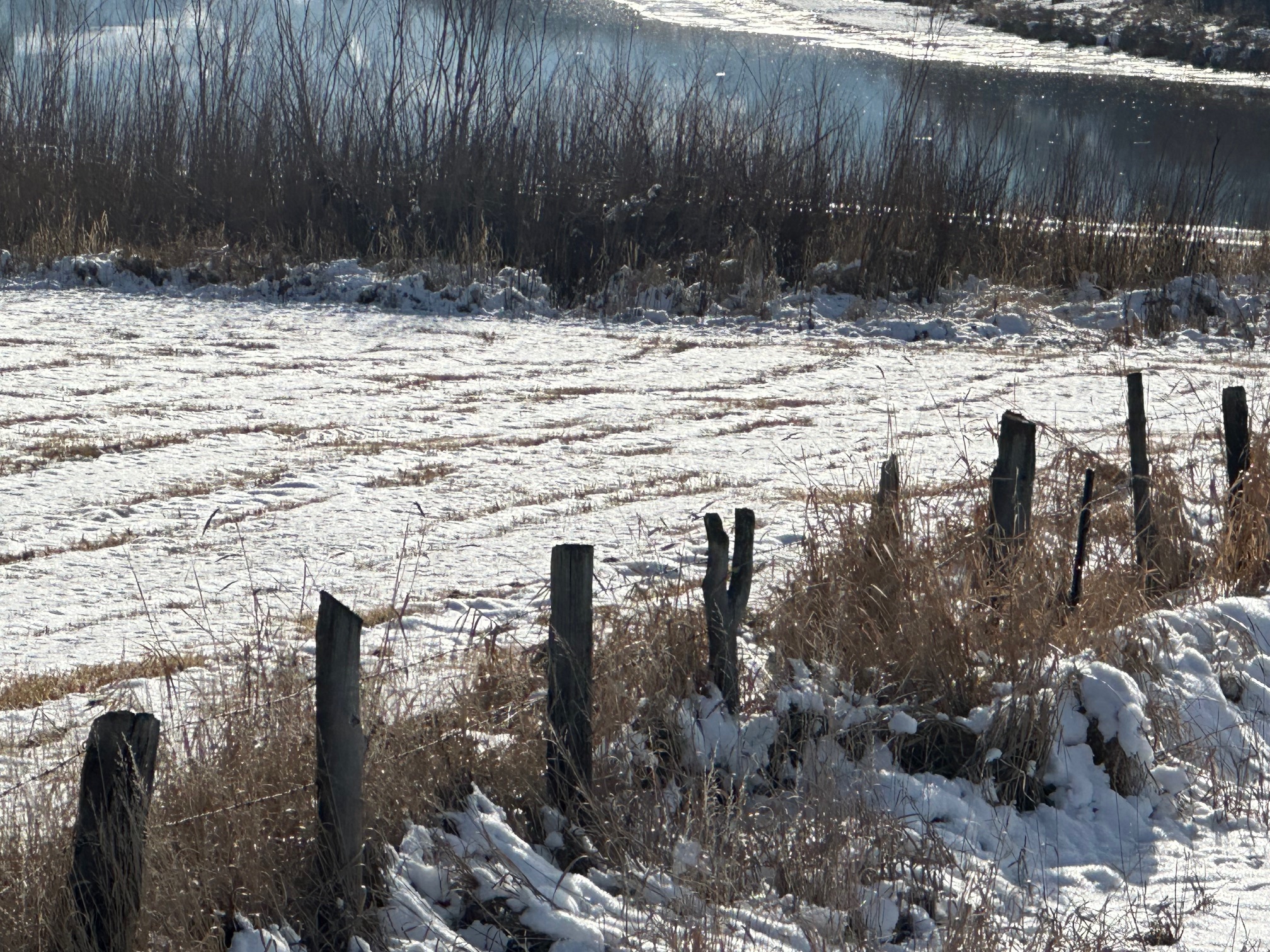 Thatcher, ID Thatcher, ID