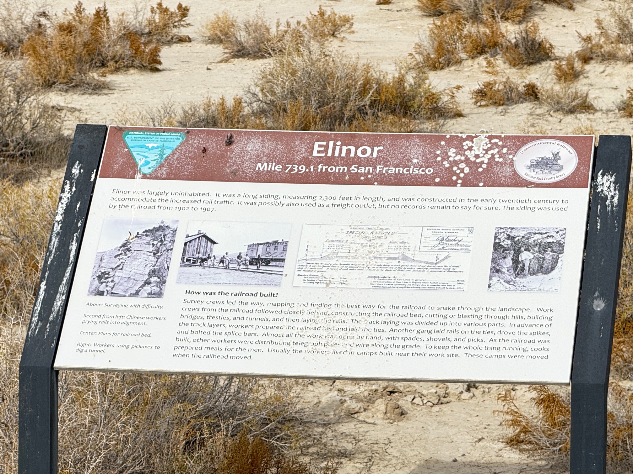 CP-15 Elinor Construction Camp