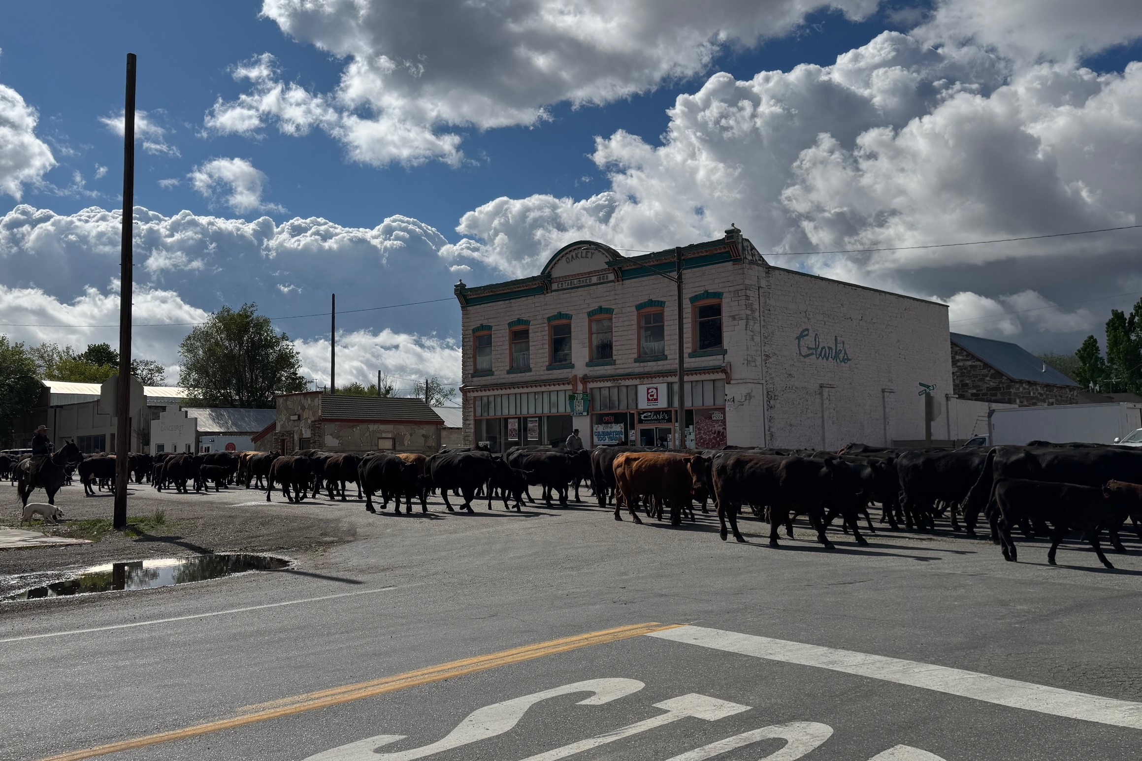 Where’s the Beef? Come to Oakley!