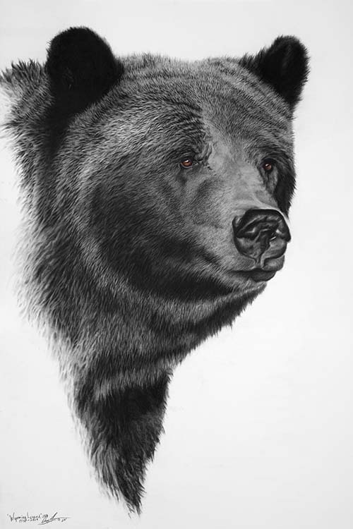 Grizzly 399: Alpine, Star Valley Cover Photo, 2025